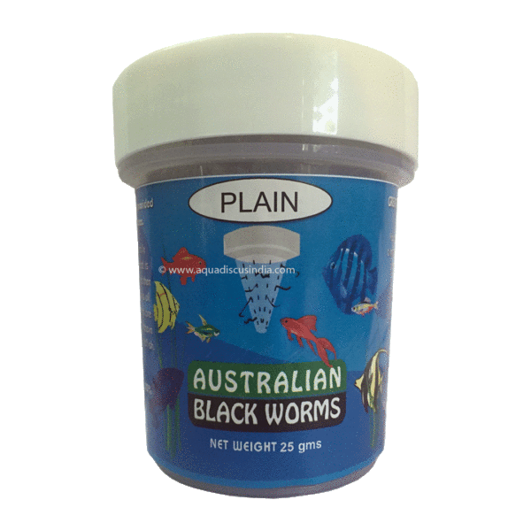 Massage Invitere historie Australian Black Worms Plain – Aqua Discus India